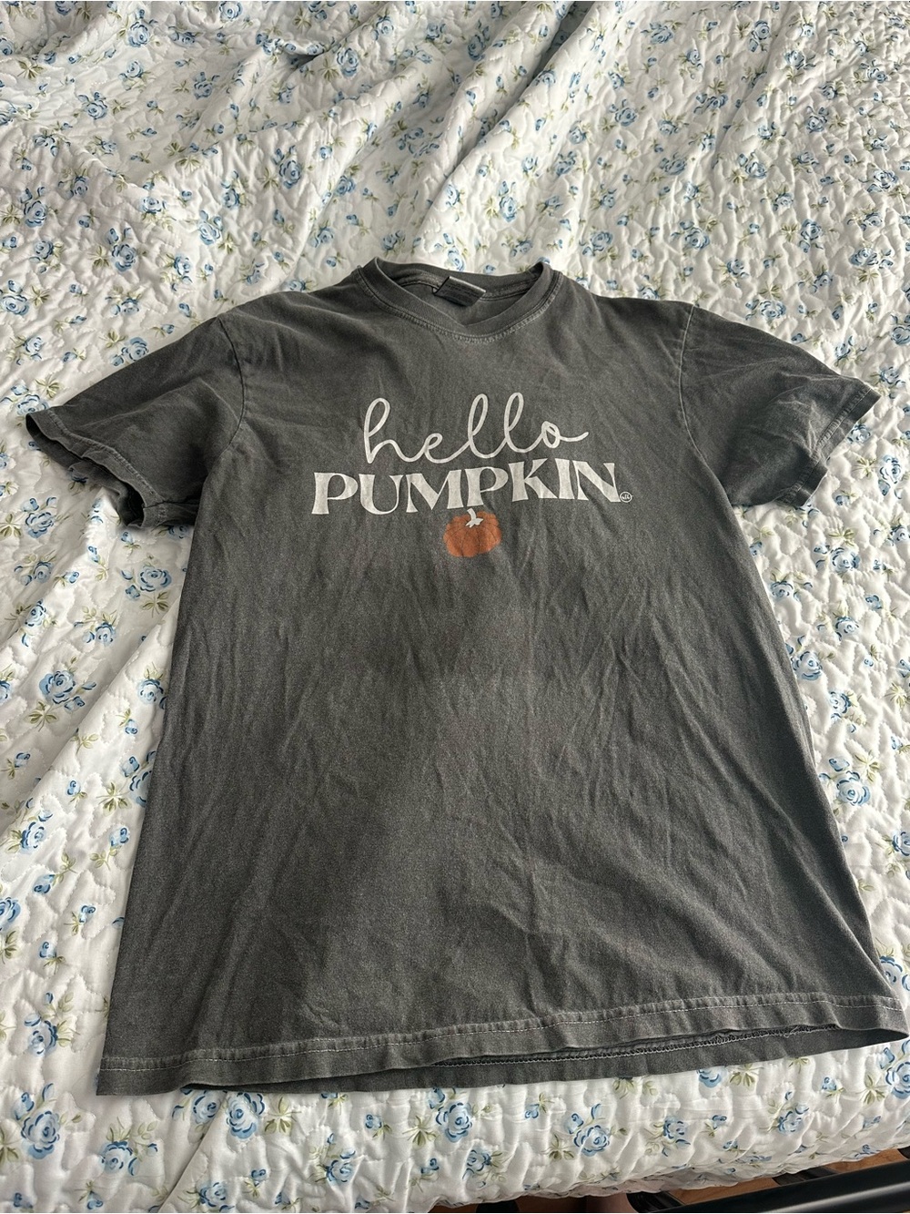 Comfort Colors Charcoal "Hello Pumpkin" Graphic Tee